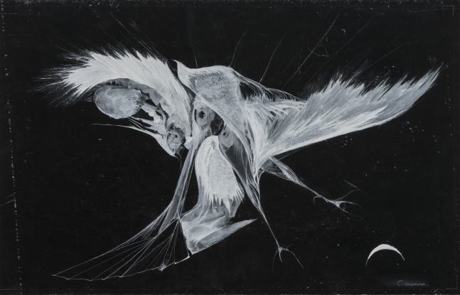 Untitled (from the Fossil series), n.d.