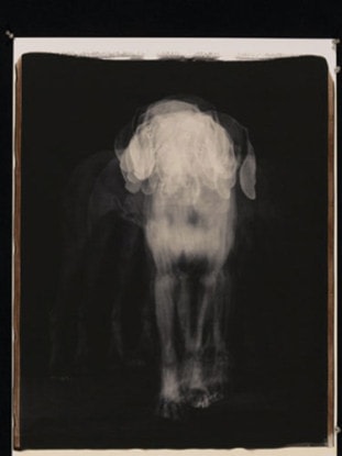 Shaken, 2004