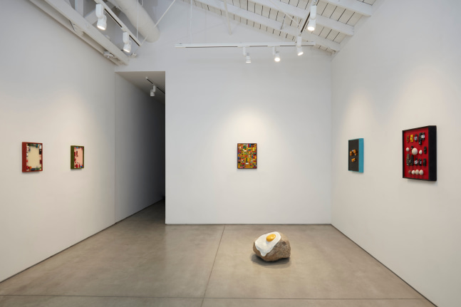 Pedro Wirz Termite Terminators installation view