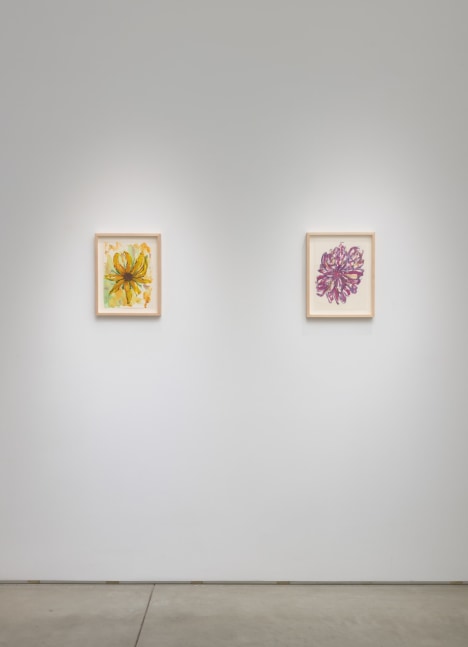 Installation view of Hannah Wilke Flowers​​​​​​​, 2023