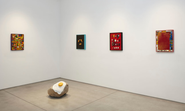Pedro Wirz Termite Terminators installation view