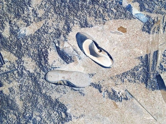 Richard Misrach photograph titled IPS #1812 (Shoes and Fish), 2011
