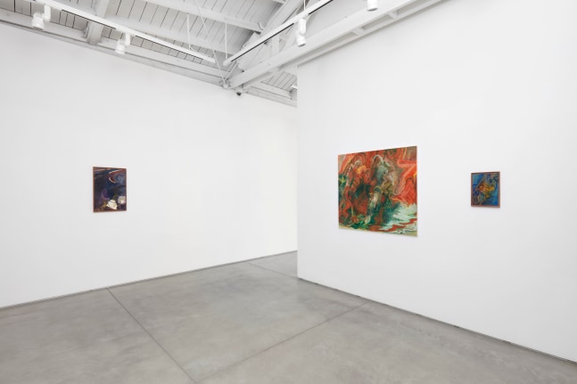Installation view of Tyler Vlahovich​​​​​​​, 2021