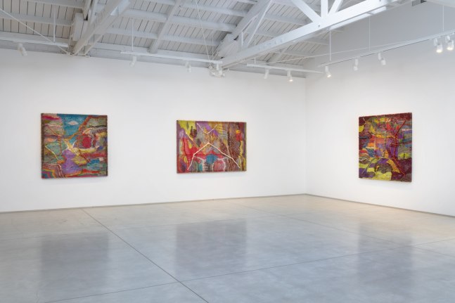 Installation image of Entanglements, 2019