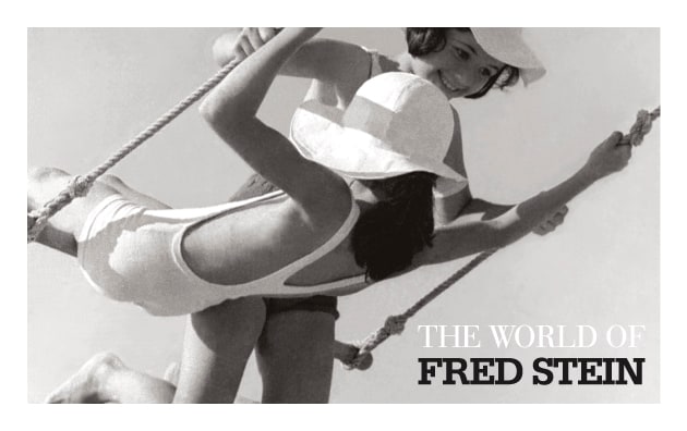 The World of Fred Stein