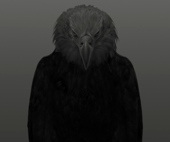 Dean West, Bald Eagle # 1, American West, 2025