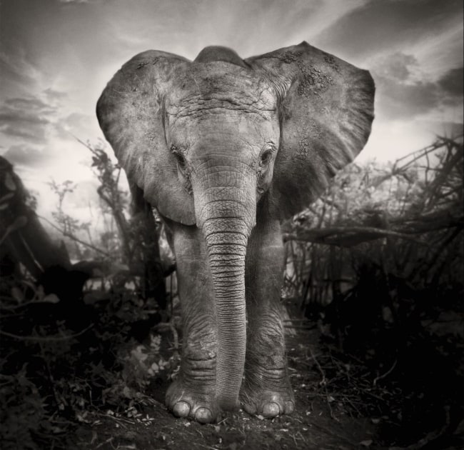 Joachim Schmeisser, Kibo, Kenya