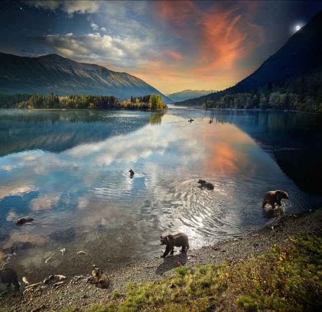 Stephen Wilkes, Grizzly Bears, Chilko Lake, B.C., Day to Night, 2022