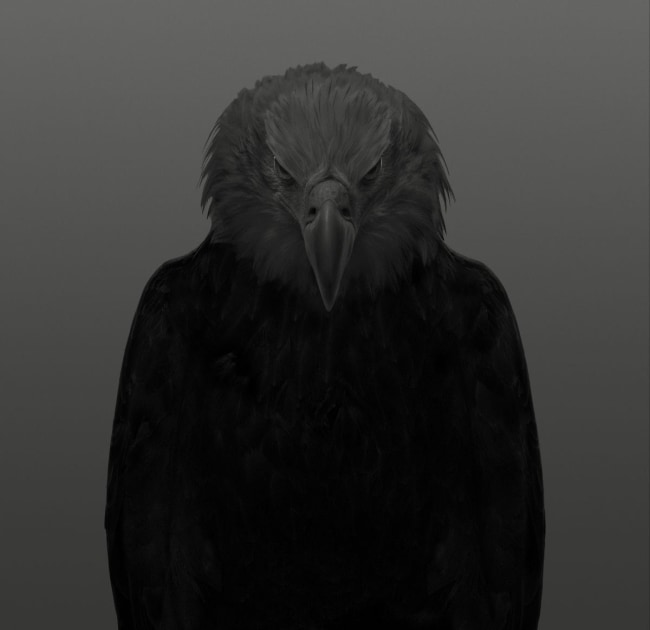 Dean West, Bald Eagle # 1, American West, 2025