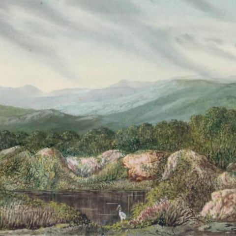 Fine Books &amp; Collections: First US exhibition of Watercolors by George Sand