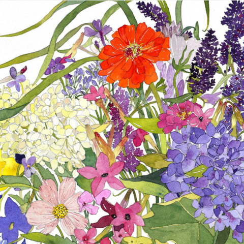 Review in Artdaily: Jill Newhouse Gallery exhibits recent flower watercolors by New York artist Pamela Sztybel, December 2016