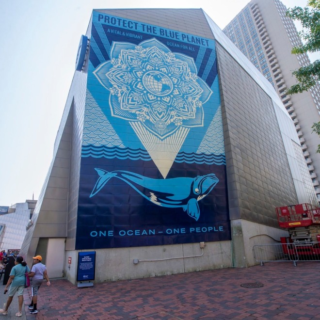 WBUR News | From Obey Giant To Oceans, Shepard Fairey On His First Permanent Mural In Boston