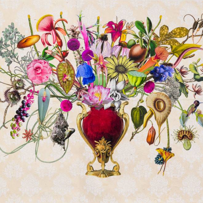 Jane Hammond: Chocolate Cosmos, String of Pearls