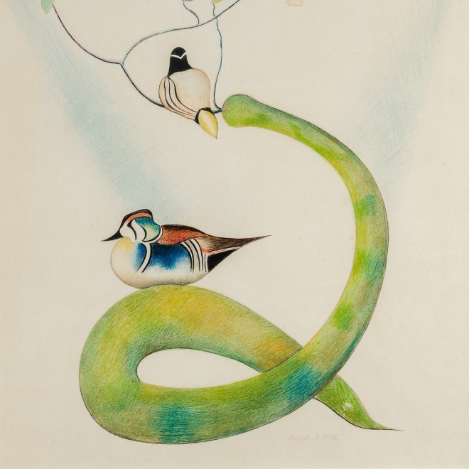 JOSEPH STELLA (1877–1946), "Two Wood Ducks on a Flowering Branch," c. 1920–25. Pencil, crayon, and colored pencil on paper, 25 3/4 x 22 1/4 in. (detail).