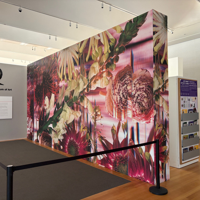 Colby Caldwell installation&quot; garlands (115) unfurled&quot; on view in the West Building at North Carolina Museum of Art
