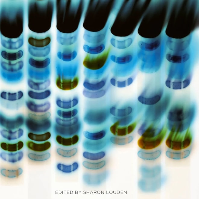 Sharon Louden Book Tour for &quot;Last Artist Standing&quot;