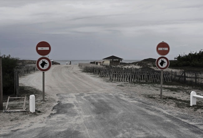 Michel Houellebecq. France #017 (2016), &nbsp;