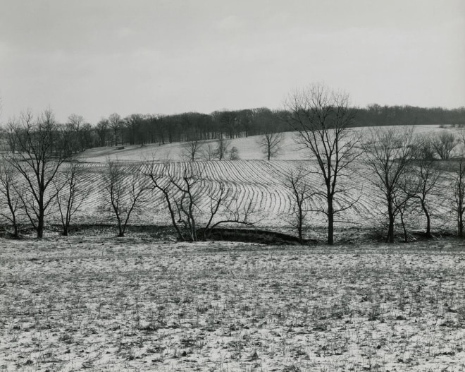 untitled, Illinois Landscape