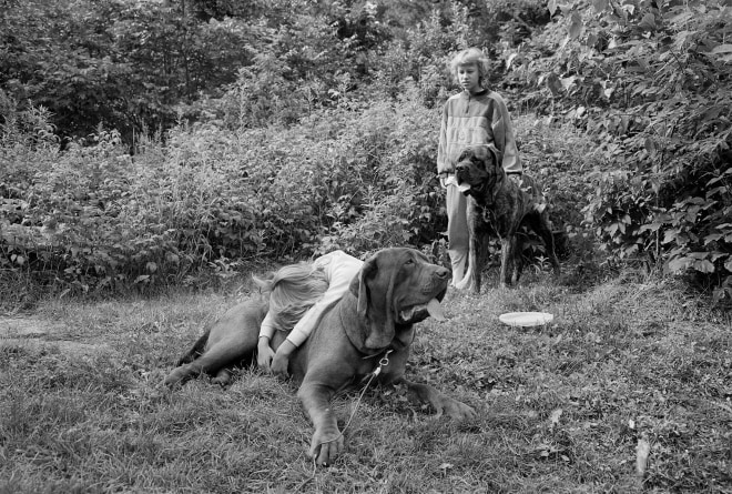 Girls with Mastiffs, Meredith, New Hampshire, 1982