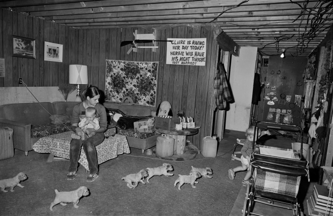 Family with Spaniel Puppies, Milan, New Hampshire, 1980