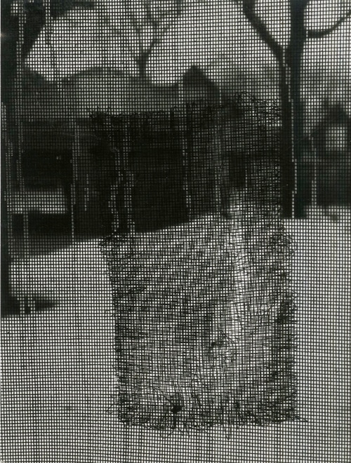 untitled, (screen door), 1965