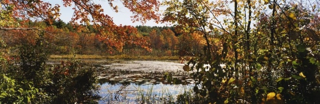 Pond near Southborough, Massachusetts