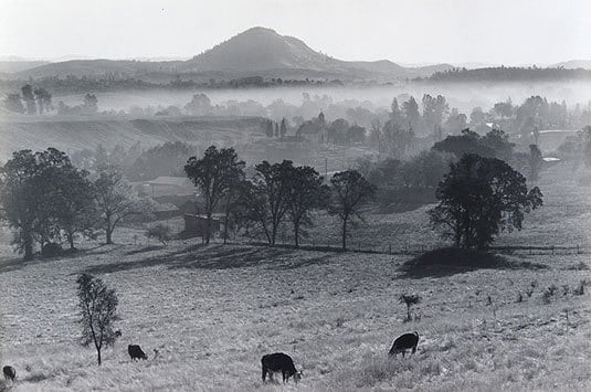 Landscape, Jackson, California, 1948, From Portfolio Two, Published 1968