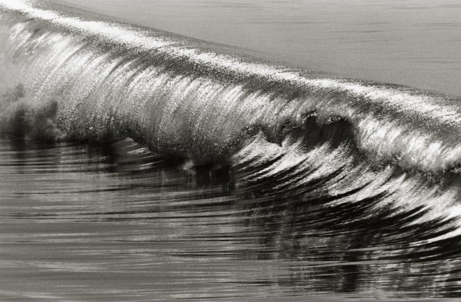 Silver Curl, Hermosa Beach, CA