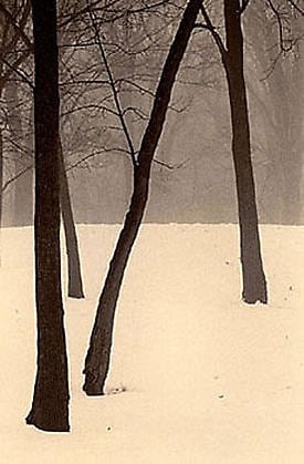 Paul Kozal, Winter in Palos, 1995, sepia toned gelatin silver print, 8 x 10 inches