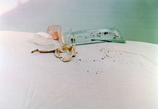 Untitled #57 (from the I Did Not Remember I Had Forgotten series), 2002, Chromogenic print, 24 1/2 x 35 inches