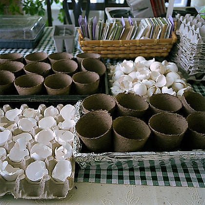 Spring Potting Preparations, from the series Kane County, 2005, chromogenic print