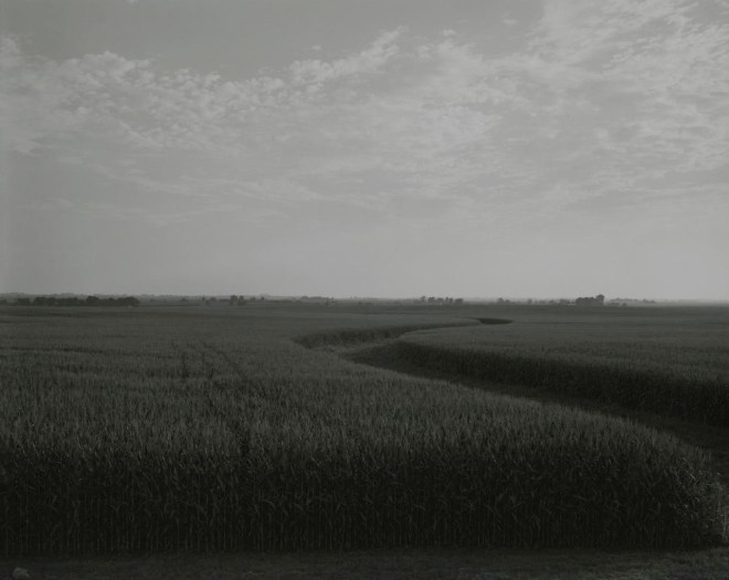 untitled, Illinois Landscape