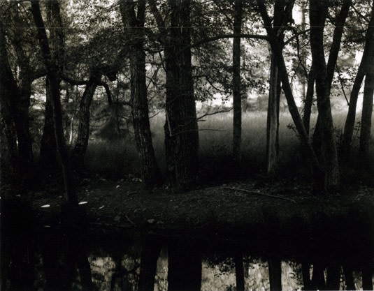 unique Polaroid Type 55 print, circa. 1960