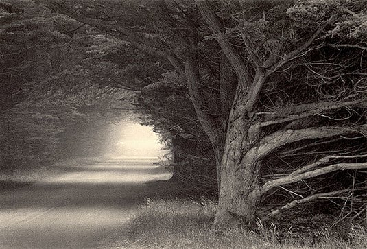 Camino Del Mar, Sepia toned gelatin silver print, 5 x 7 inches