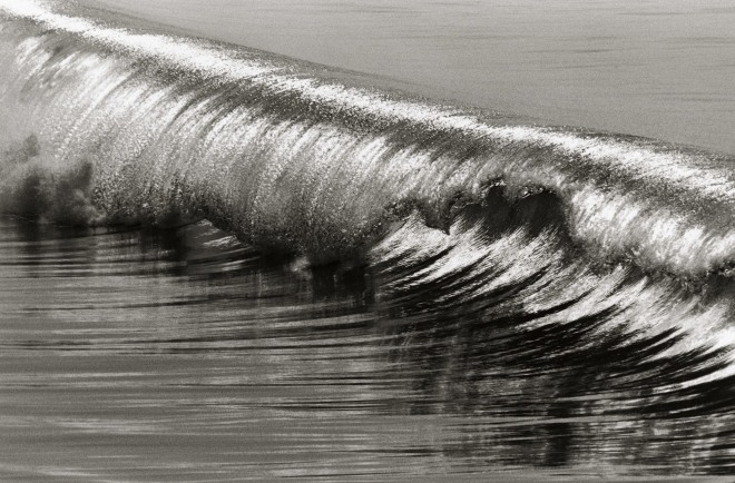 Anthony Friedkin, Silver Curl, Hermosa Beach, CA