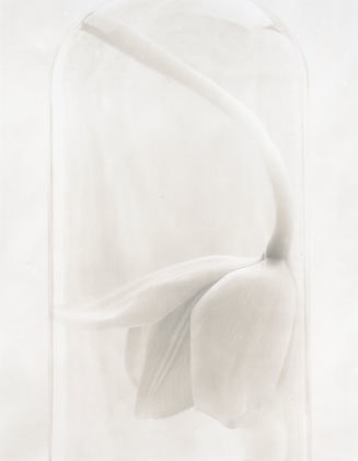 Botanical Study #1, 1992