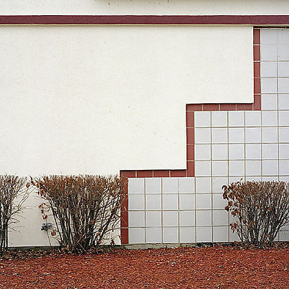 Nature/Geometry, from the series Neo Nature, 2005, pigment print