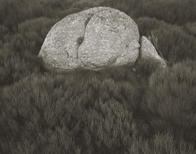 Rock on Gonnet, Lozere, France, 1995