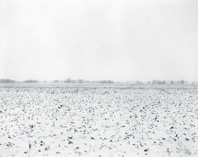 untitled, Illinois Landscape