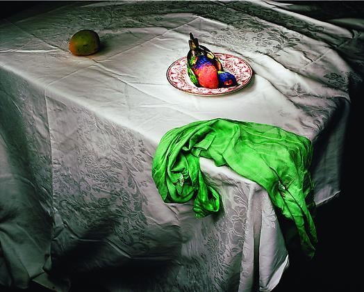 Lorikeet with green cloth, 2006