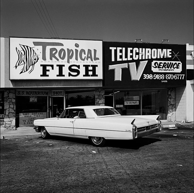 Shopping Plaza, 1975