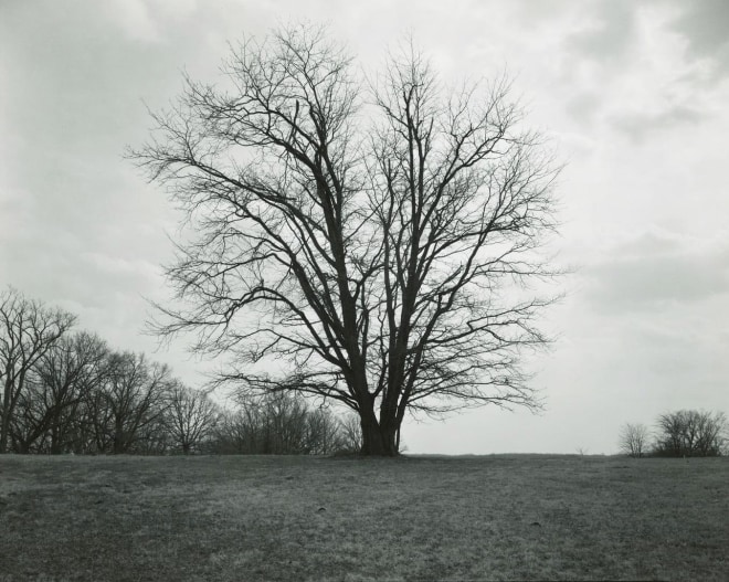 Rhondal Mckinney Untitled, Illinois Landscape