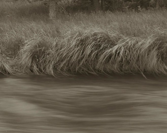 Two Directions, Valle Vidal, NM