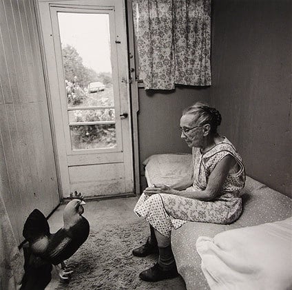 Charlotte Olds and Rooster, NY, 1975