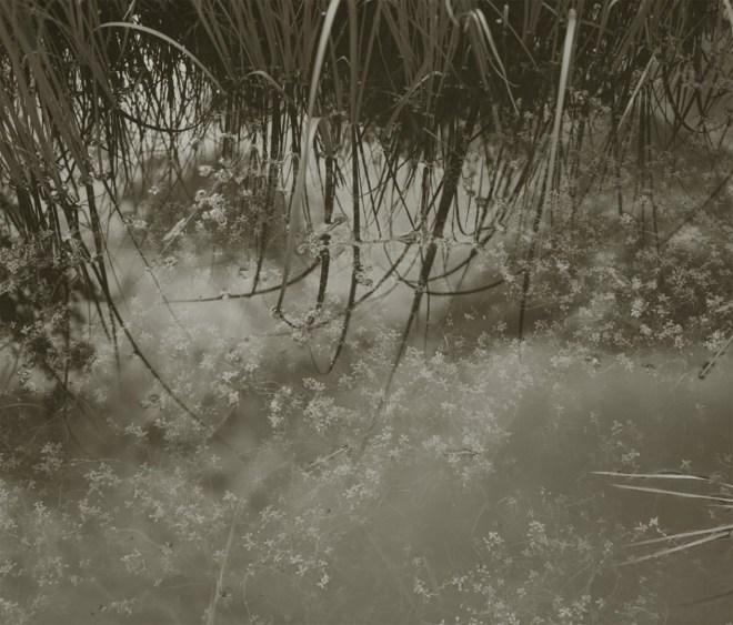 Just a Cloud, Valle Vidal, NM, 2001