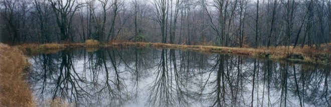 Pond, woods, Ulster County, N.Y.S.