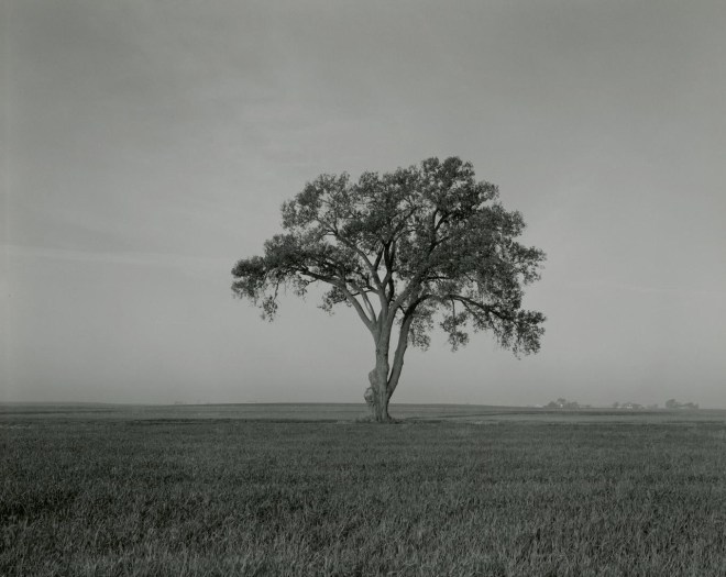 untitled, Illinois Landscape