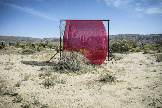 Rebecca Webb, Untitled (High Noon Desert, Ocotillo, CA)