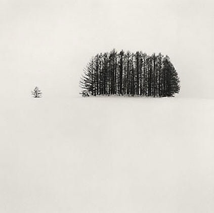 Michael Kenna, Copse and Tree, Mita, Hokkaido, Japan, 2007, gelatin silver print