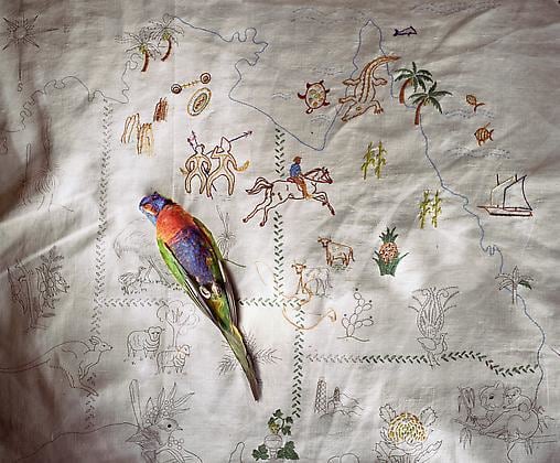 Rainbow Lorikeet on Queensland needlepoint, 2009